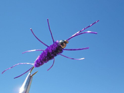 Mike's Girdle Bug - Purple