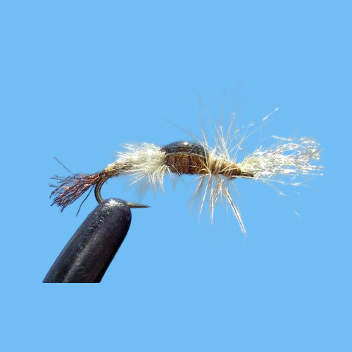 Poxyback Baetis emerger - Emerger Fly Pattern | Glenwood Springs Outdoors