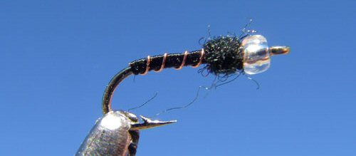 Mercury Black Beauty