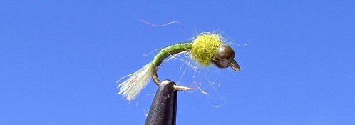 Shuckin' Midge - Olive