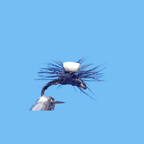 Brooks Sprout - Midge