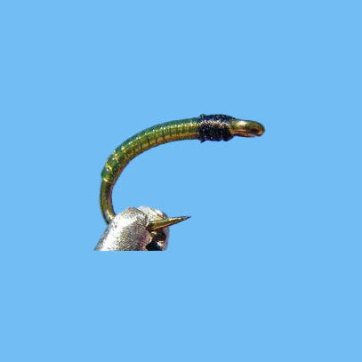 Midge Larva - Olive