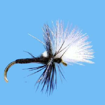 CDC Midge - Black