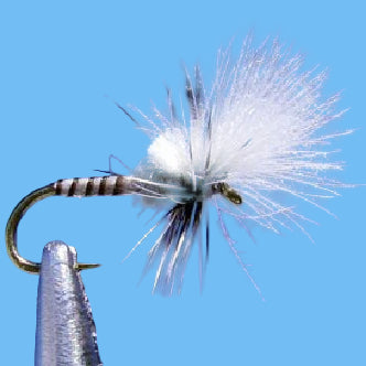 CDC Midge - Grey