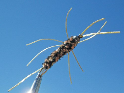 Mike's Girdlebug - Coffee/Black