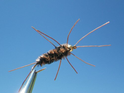 Mike's Girdlebug - Coffee/Black