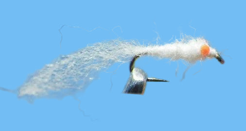 Mike's Mysis - Orange Eyes