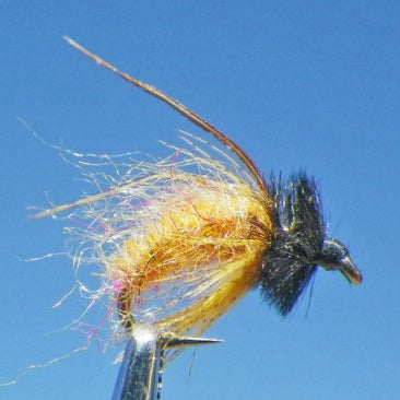 October Caddis