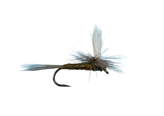 Parachute Blue Winged Olive Dark Olive dry fly for trout fishing — available at Glenwood Springs Outdoors, Glenwood Springs, CO