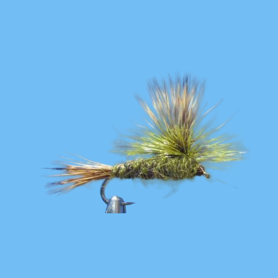 Parachute Green Drake