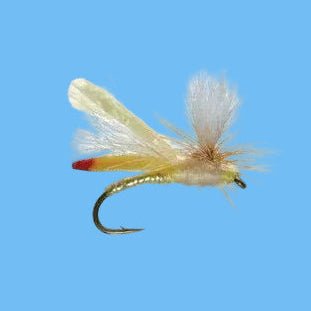 Parachute Headlight Sally