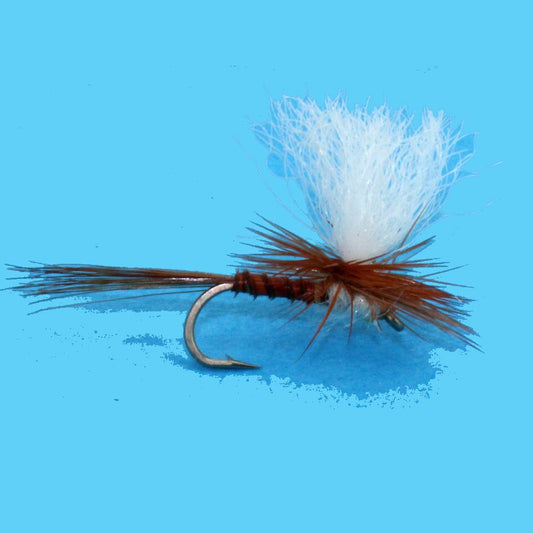 Parachute Red Quill