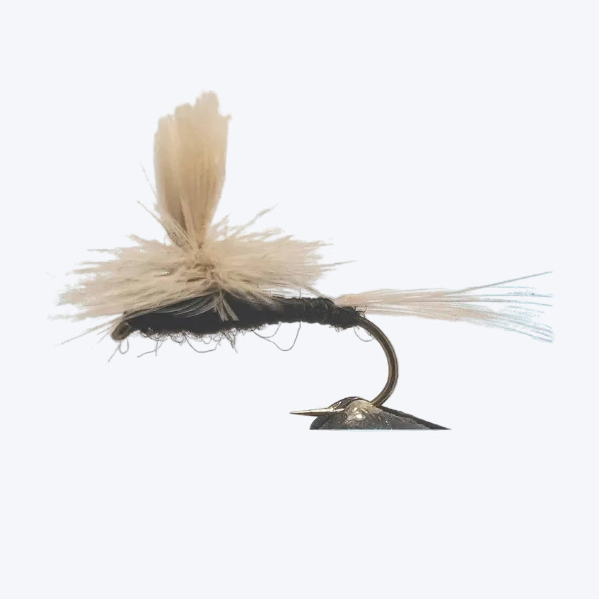 Parachute Trico