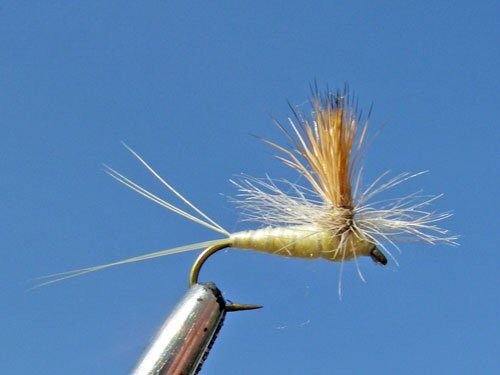 Parachute PMD