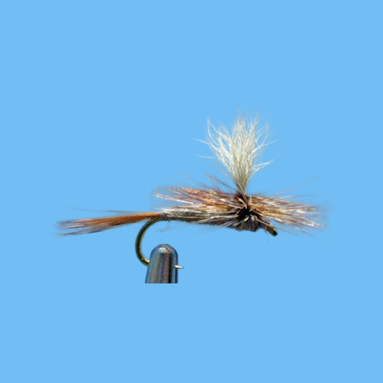 Parachute Adams dry fly sizes 14 16 18 20 22 24 for trout fishing on the Roaring Fork Frying Pan and Colorado River