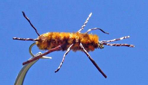 Pat's Rubberlegs - Black/Orange