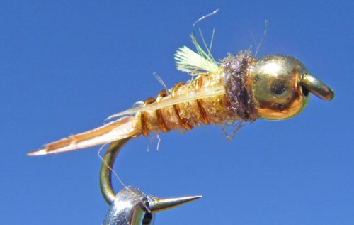 Psycho Prince - Orange