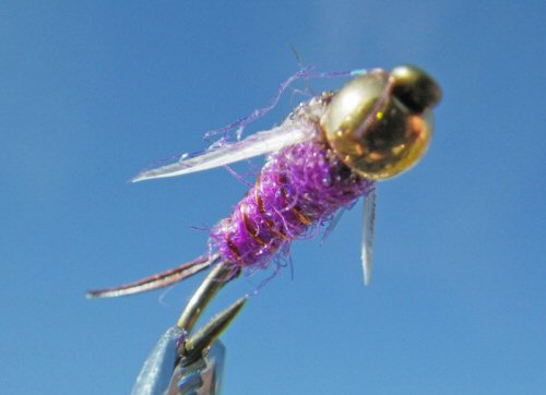 Psycho Prince - Purple