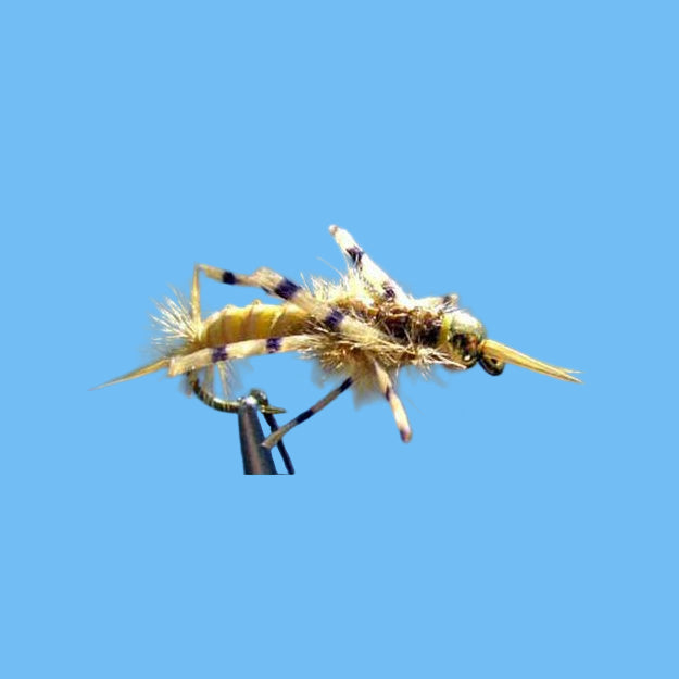 BH RL Golden Stone Nymph — Rubber Leg Stonefly Pattern | Glenwood ...