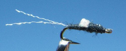 RS2 - Sparkle wing black