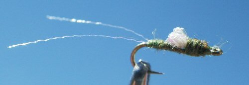 RS2 - Sparkle wing Olive