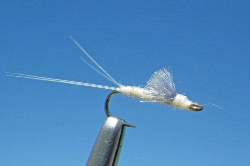 RS2 Low Wing - Cream