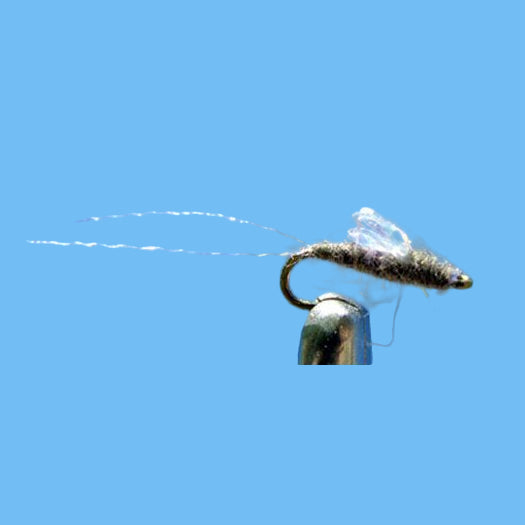 RS2 - sparkle wing - Emerger Fly Pattern | Glenwood Springs Outdoors