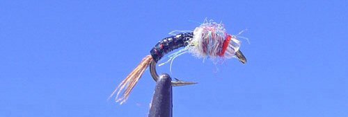 Rainbow Warrior - Pearl