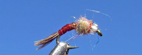 Rainbow Warrior - Red