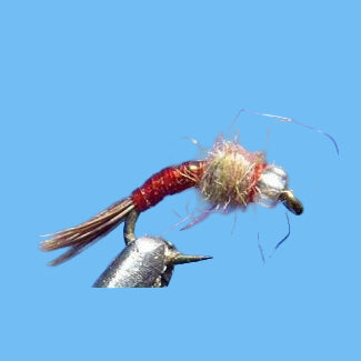 Rainbow Warrior - Black