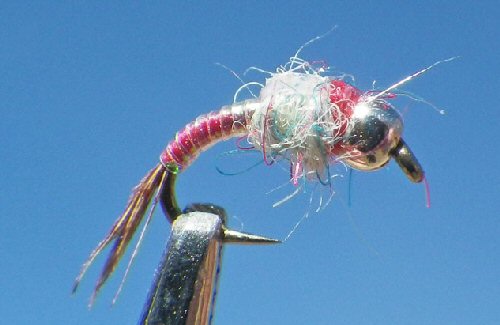 Rainbow Warrior - Pearl