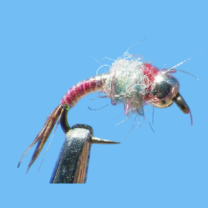 Rainbow Warrior - Pearl