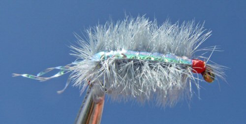 Scud Ray Charles - Grey