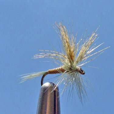 Red Quill Dry Fly — Classic Mayfly Pattern for Colorado Trout ...