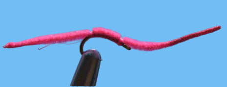 San Juan Worm - Pink