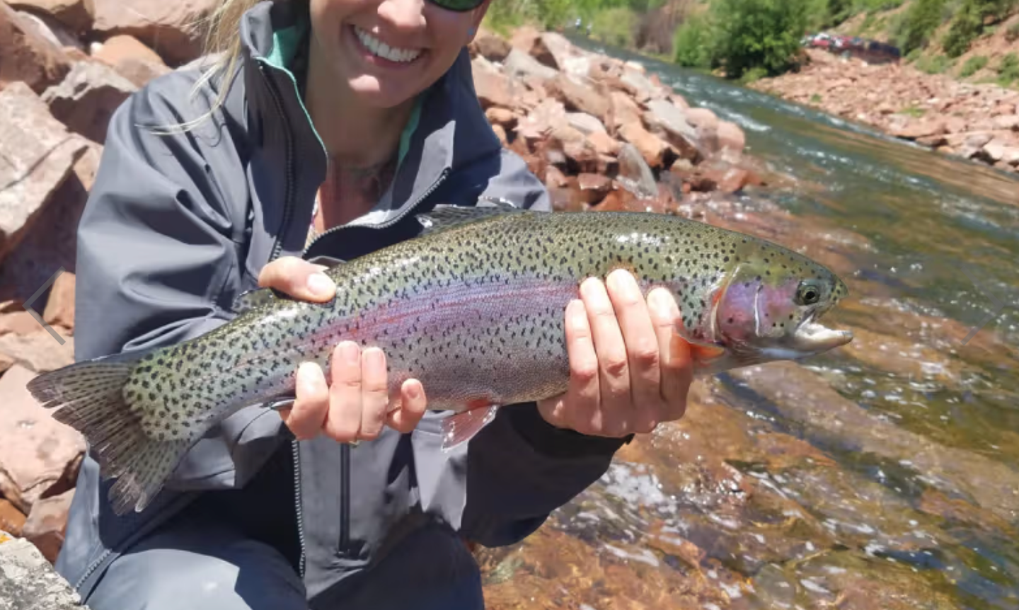 Person holding a rainbow trout by a river