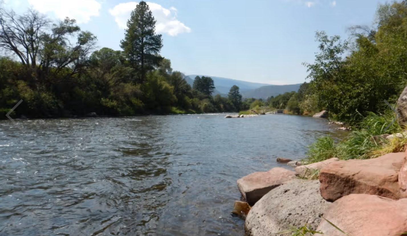 River flowing through a forested area with rocks and trees on a sunny day.