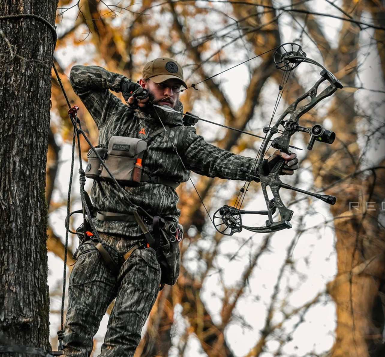 Hoyt RX-9 Carbon Compound Bow