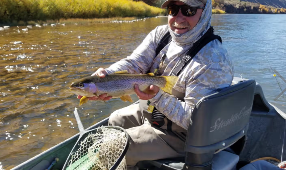 Person holding a fish caught while fishing on a boat in a river