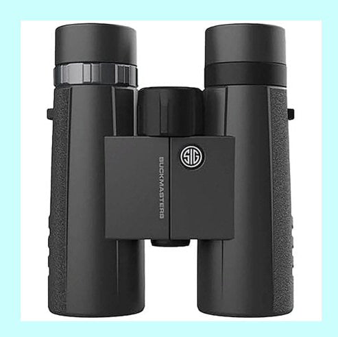 Sig Sauer Buckmasters 10x42 Binoculars 