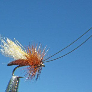 Slickwater Caddis - Brown