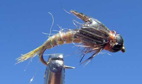 Mighty May Sulphur Emerger