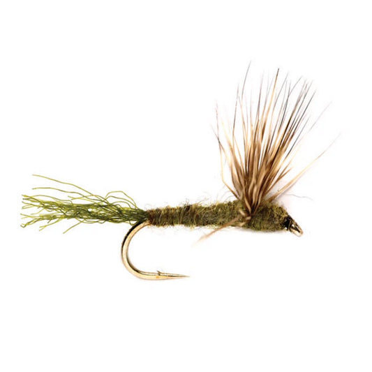 Sparkle Dun Blue Winged Olive dry fly for trout fishing on the Roaring Fork and Frying Pan — available at Glenwood Springs Outdoors, Glenwood Springs, CO