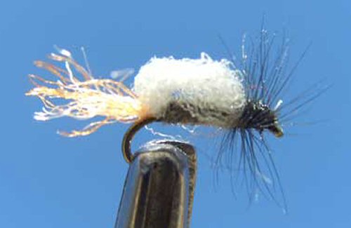 FPA Special Emerger