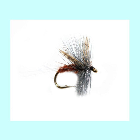 Thorax Rusty