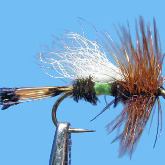 Royal Coachman Trude Dry Fly — Downwing Attractor Pattern | Glenwood ...