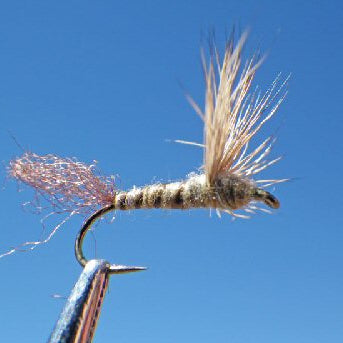 Warwick's Split tail Green Drake