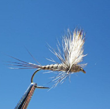 Warwick's Split tail Green Drake