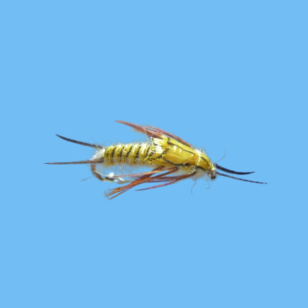 Golden Stone Nymph — Golden Stonefly Pattern | Glenwood Springs Outdoors
