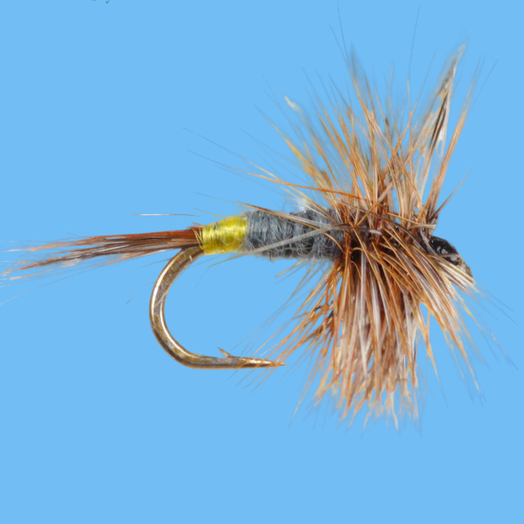 Adams Female Dry Fly — Egg Sac Mayfly Pattern | Glenwood Springs Outdoors